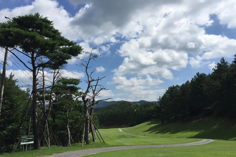 Bomun Golf Club  (4/4)
