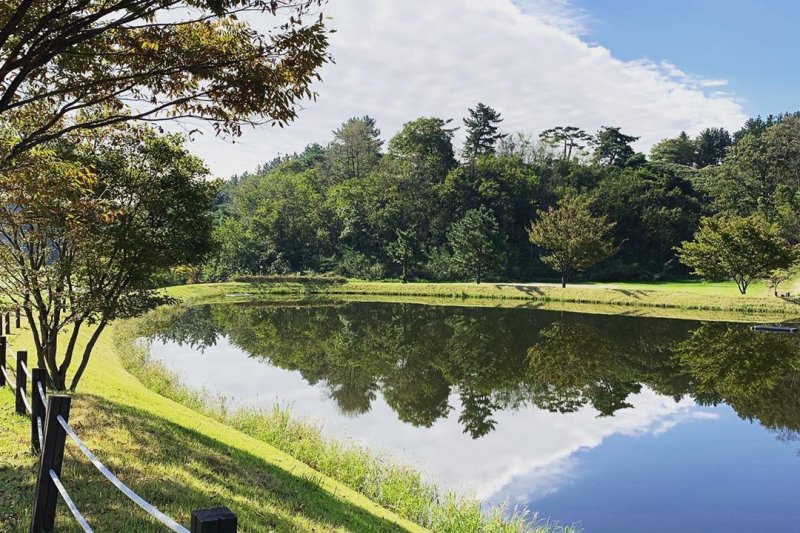 Gyeongju Country Club  (1/7)