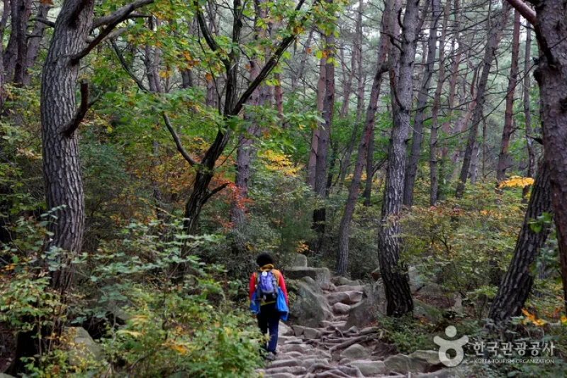 Gyeongju Namsan Mountain  (4/4)