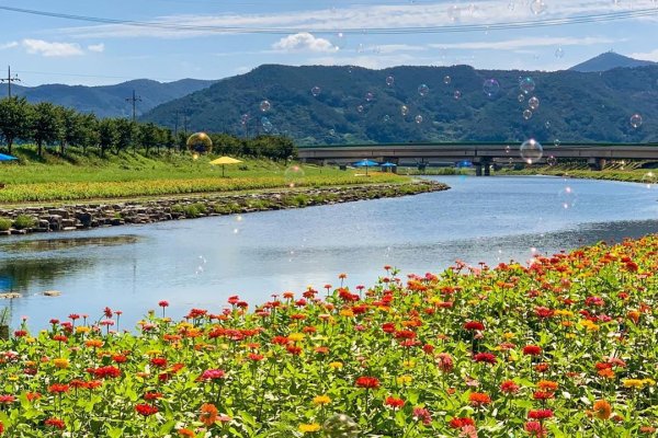 Gwangyang Flower Festival