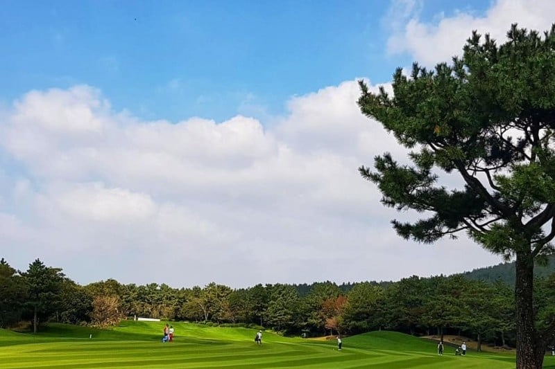 Pinx Golf Club  (1/1)