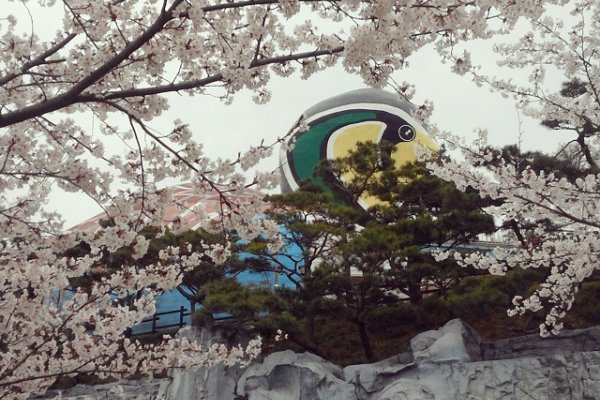 Gunsan International Migratory Bird Festival