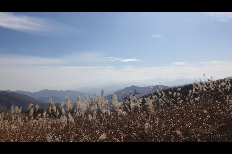 Jangansan County Park  (1/2)