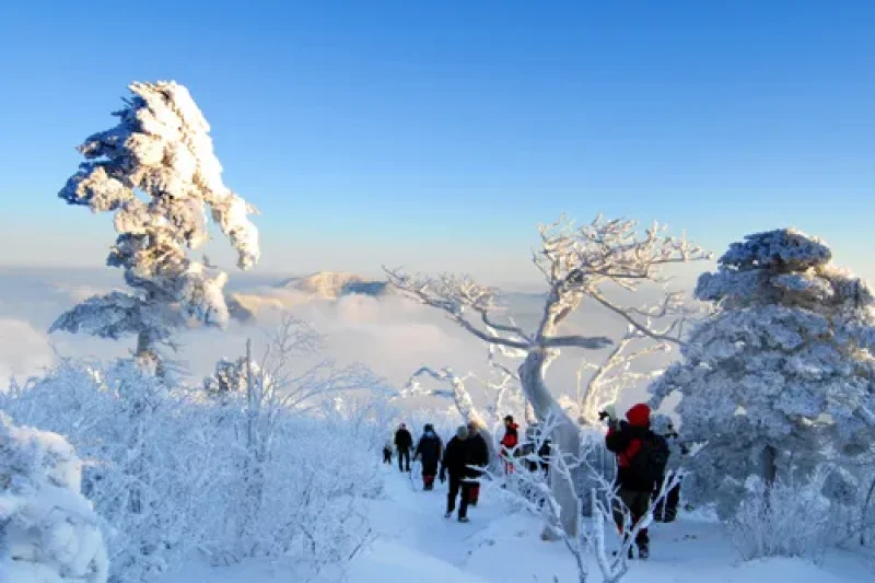 Taebaeksan Mountain Cheonjedan  (1/8)