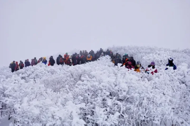 Taebaeksan Mountain Cheonjedan  (2/8)