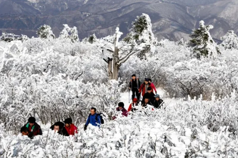 Taebaeksan Mountain Cheonjedan  (5/8)