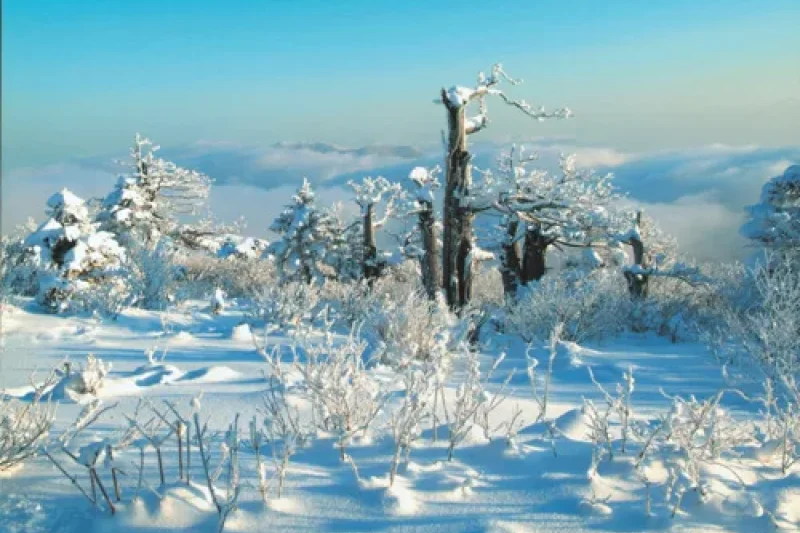 Taebaeksan Mountain Cheonjedan  (8/8)