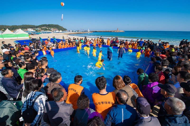 Goseong Myeongtae Festival  (2/4)