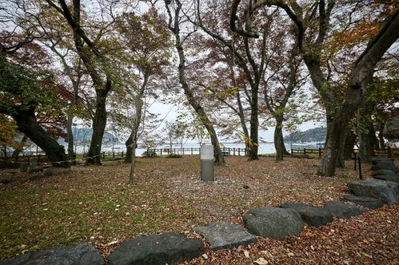 Mulgeon Windbreak Forest  (22/25)