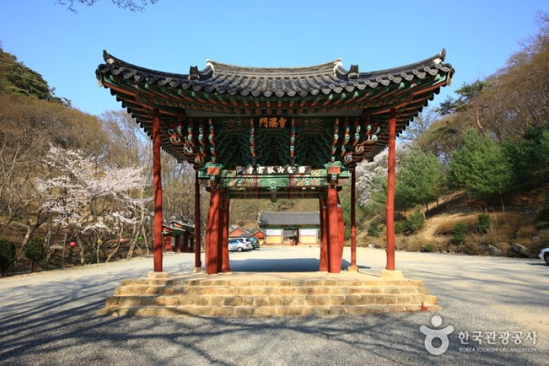 Uiseong Gounsa Temple (고운사 (의성)) (1/9)