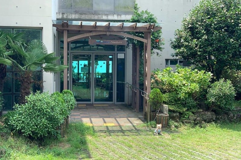 Jeju Eco Suites (제주에코스위츠) (1/11)