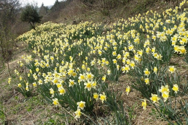 Seongsusan Recreational Forest  (3/3)