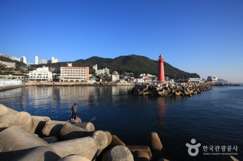 Cheongsapo Port (청사포) (24/25)