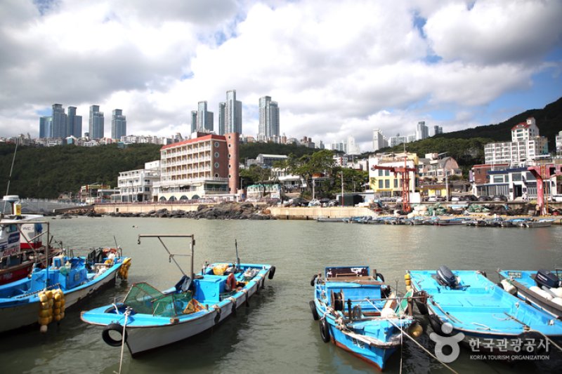 Cheongsapo Port (청사포) (25/25)