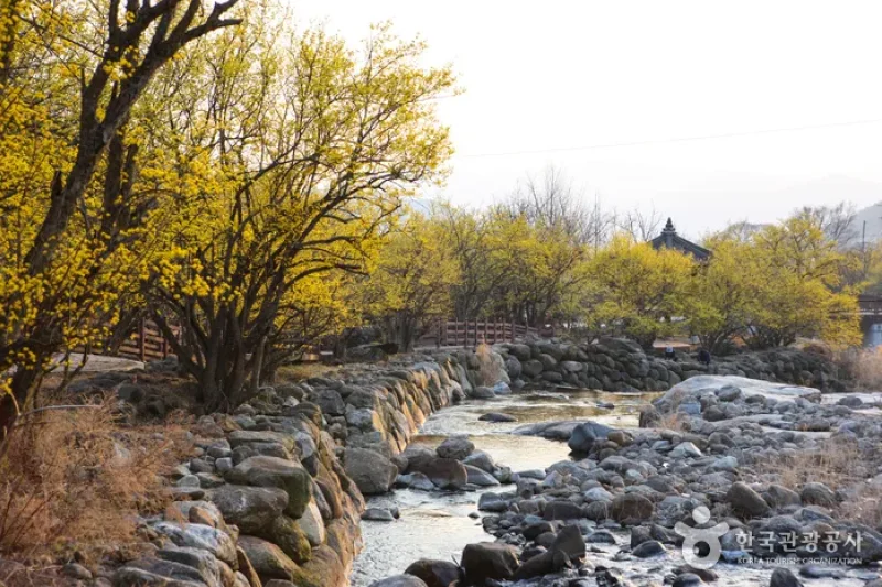 Jirisan-gil Sansuyu Village (지리산길 산수유마을) (8/11)