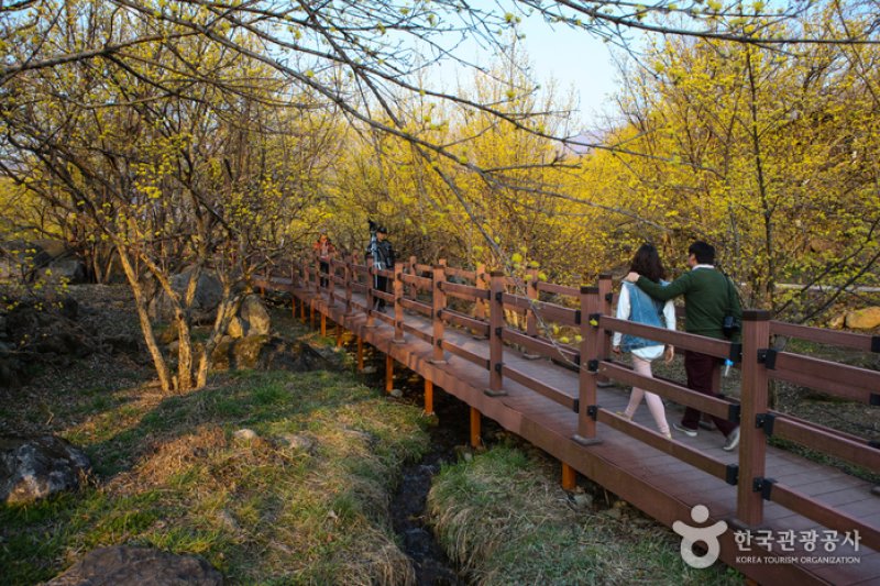 Jirisan-gil Sansuyu Village (지리산길 산수유마을) (9/11)