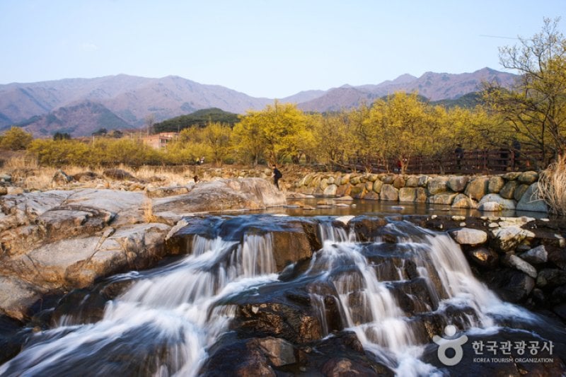 Jirisan-gil Sansuyu Village (지리산길 산수유마을) (10/11)