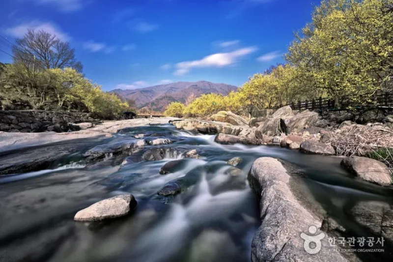 Jirisan-gil Sansuyu Village (지리산길 산수유마을) (11/11)
