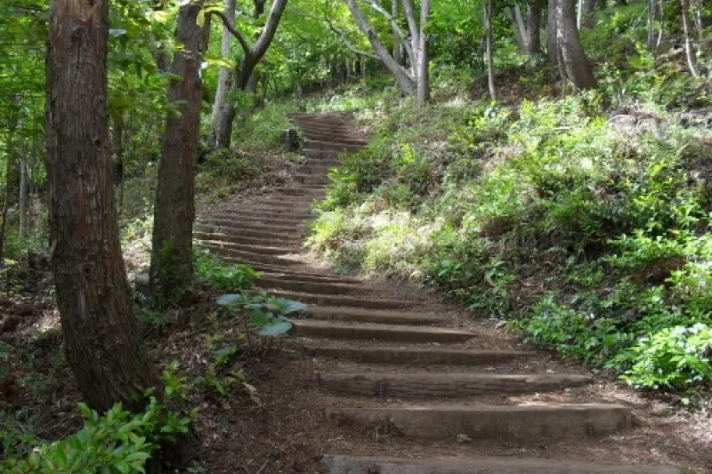 Gogeunsan Mountain (고근산) (1/2)