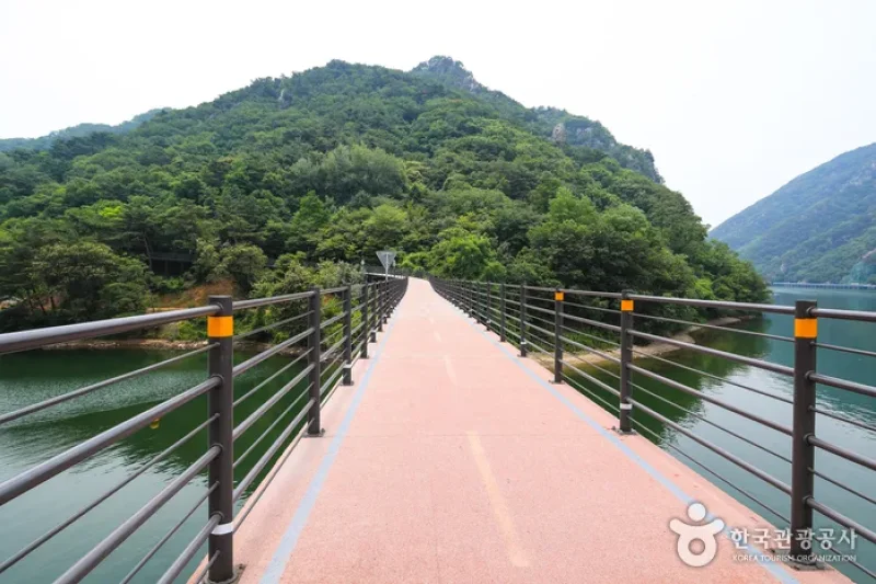Uiamho Lake Skywalk (의암호 스카이워크) (1/7)