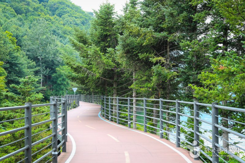 Uiamho Lake Skywalk (의암호 스카이워크) (3/7)