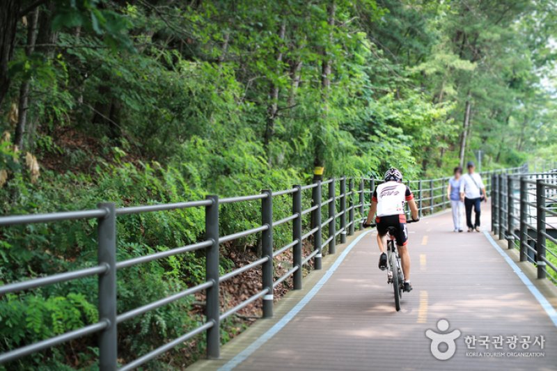 Uiamho Lake Skywalk (의암호 스카이워크) (5/7)