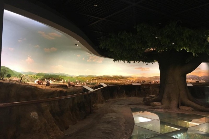 Agricultural Museum (농업박물관) (1/5)