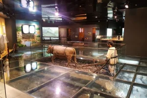 Agricultural Museum (농업박물관)