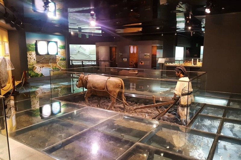 Agricultural Museum (농업박물관) (3/5)