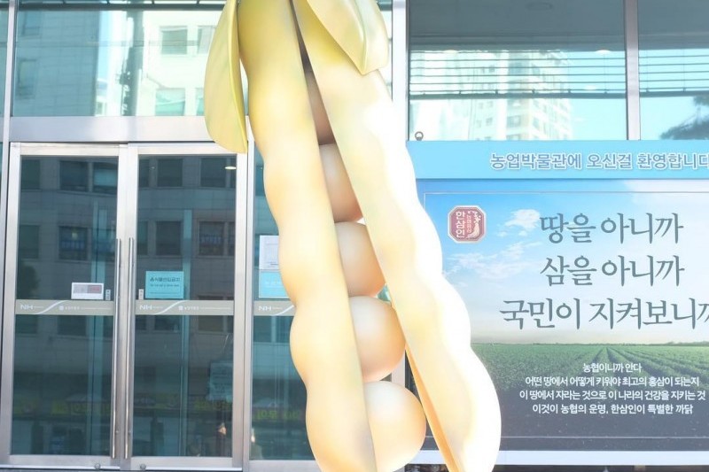 Agricultural Museum (농업박물관) (5/5)