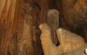 Gwaneumgul Cave (Daei-ri Cave Caverns) (관음굴(삼척 대이리 동굴지대))