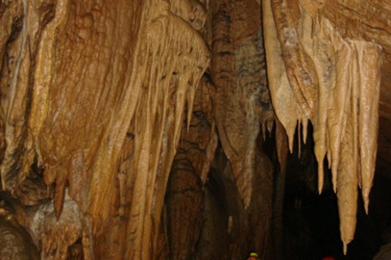 Gwaneumgul Cave (Daei-ri Cave Caverns) (관음굴(삼척 대이리 동굴지대))