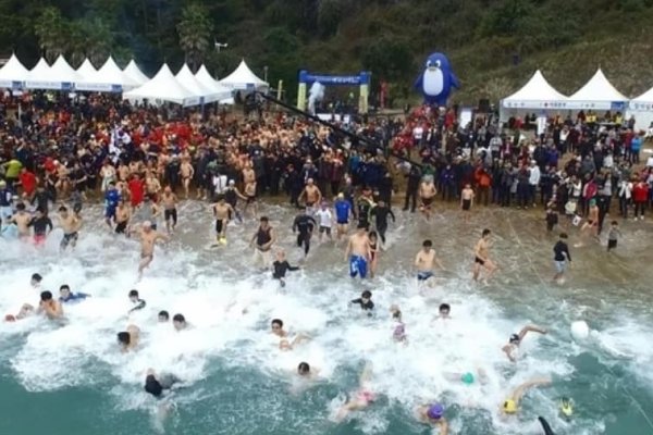 Geojedo International Penguin Swimming Festival