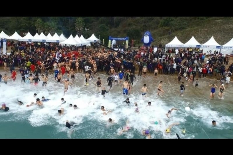 Geojedo International Penguin Swimming Festival  (1/4)
