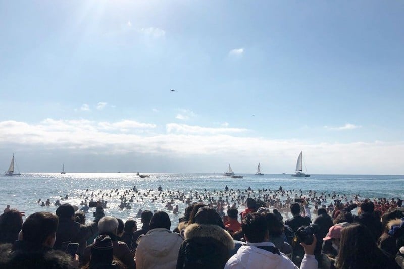Geojedo International Penguin Swimming Festival  (2/4)