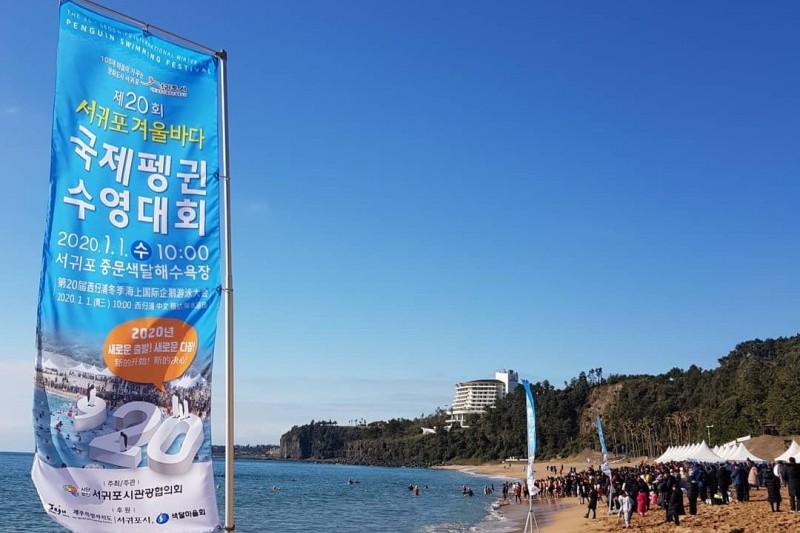Geojedo International Penguin Swimming Festival  (4/4)