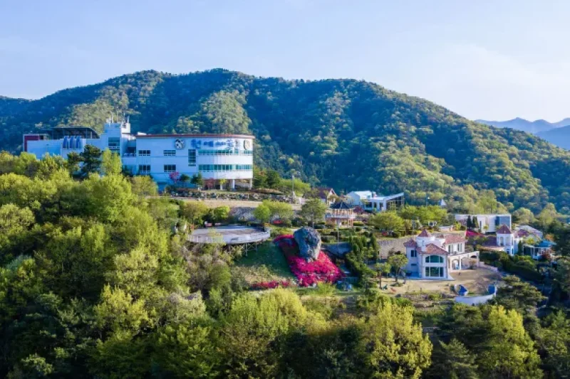 House N Garden (원예예술촌) (11/17)
