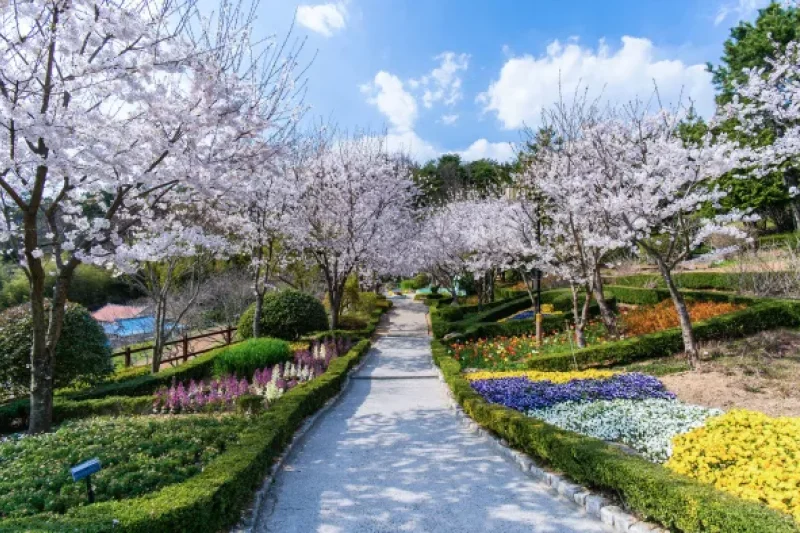 House N Garden (원예예술촌) (17/17)