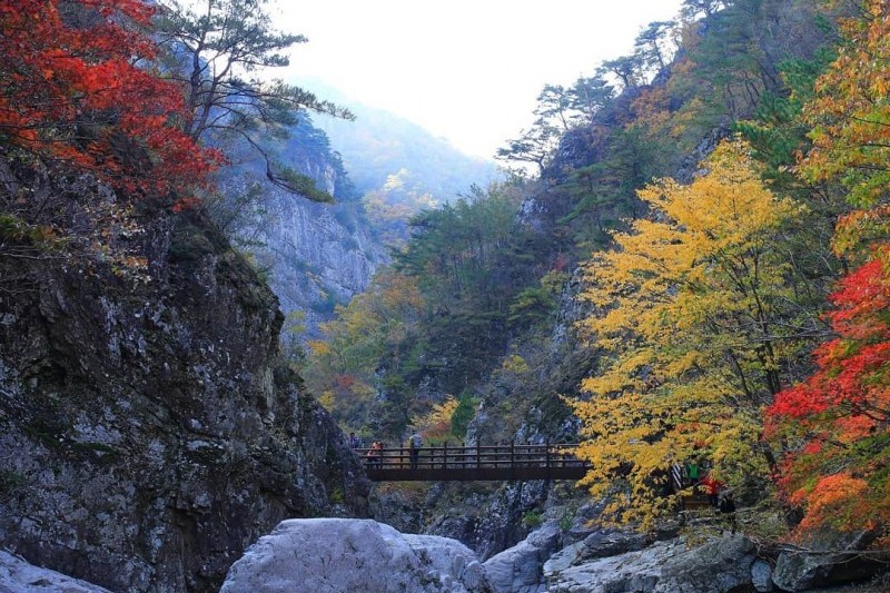 Jeolgol Valley (절골계곡) (1/4)