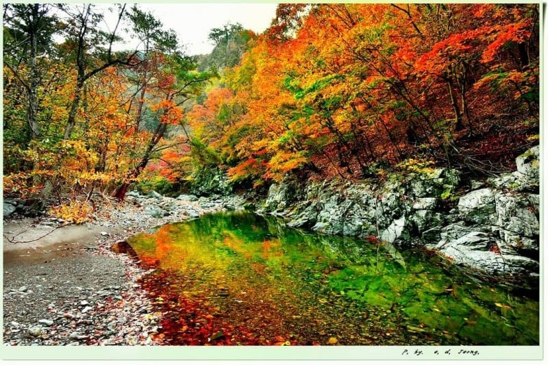 Jeolgol Valley (절골계곡) (3/4)