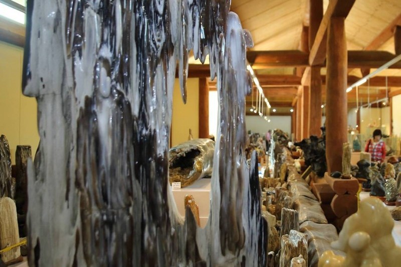 Indong Fossil Museum (인동화석박물관) (1/1)