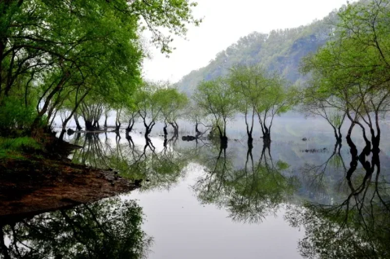 Daecheongho Obaengni (500-ri) Road (대청호오백리길) (3/8)