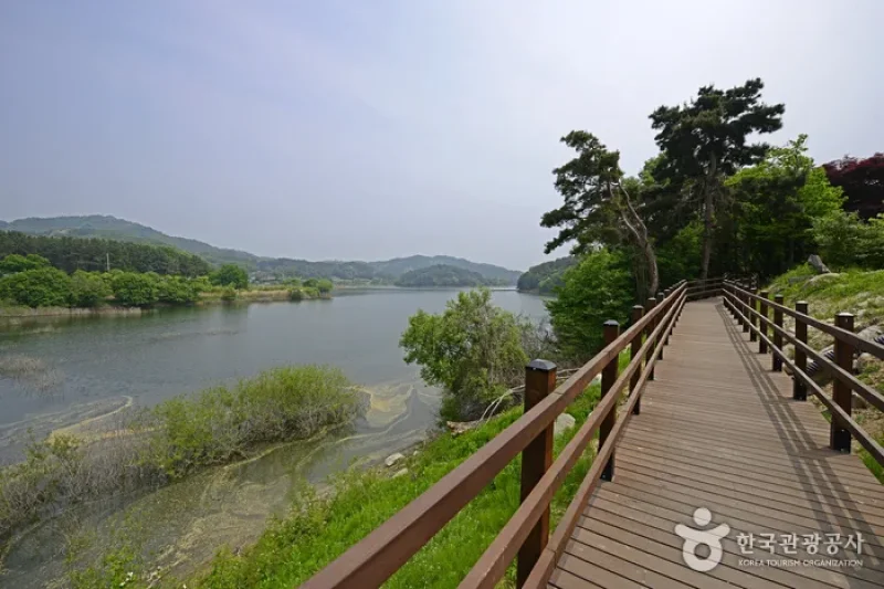 Daecheongho Obaengni (500-ri) Road (대청호오백리길) (7/8)