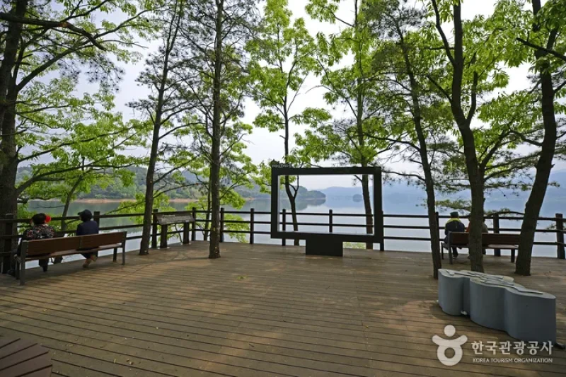 Daecheongho Obaengni (500-ri) Road (대청호오백리길) (8/8)