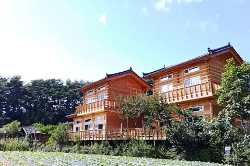 Hyusim Pension  (8/10)