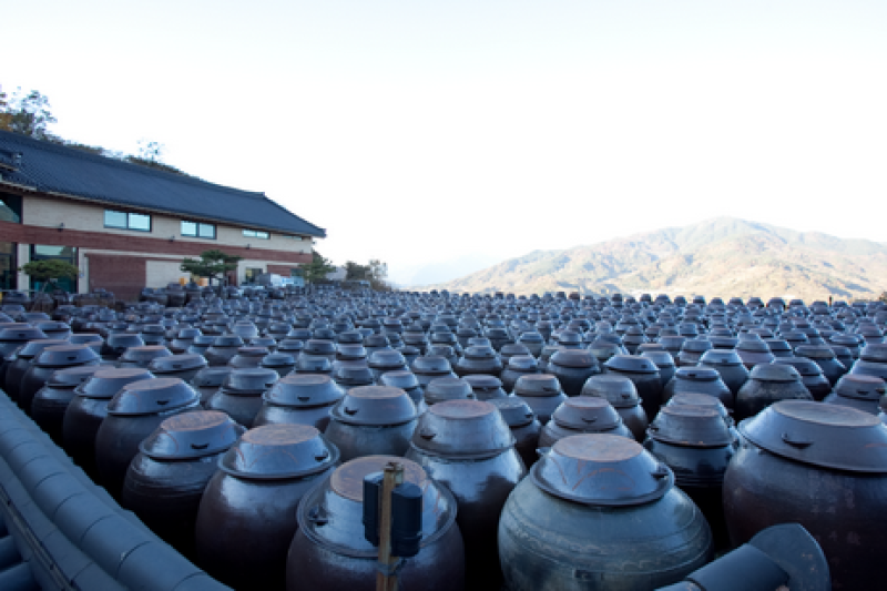 Gwangyang Cheong Maesil Farm  (1/9)