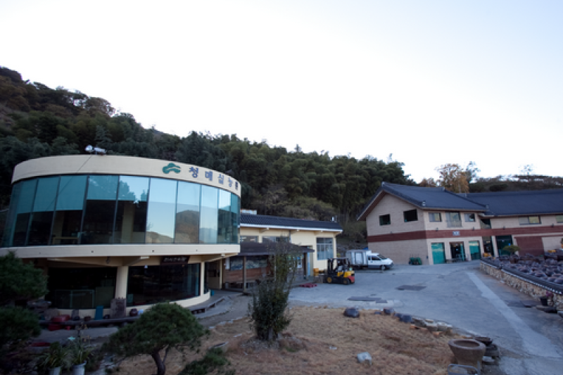 Gwangyang Cheong Maesil Farm  (9/9)