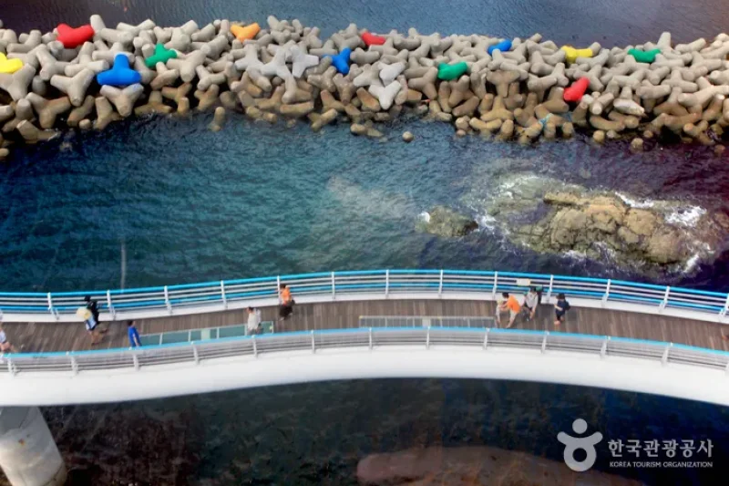 Busan Air Cruise (부산 송도해상케이블카) (4/14)