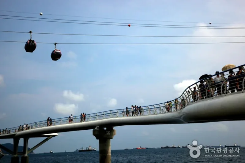 Busan Air Cruise (부산 송도해상케이블카) (9/14)