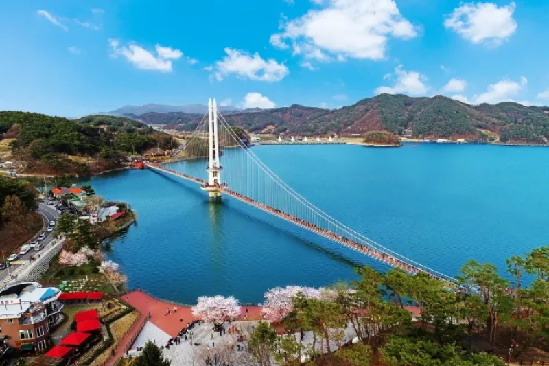 Yedangho Suspension Bridge (예당호 출렁다리) (1/11)
